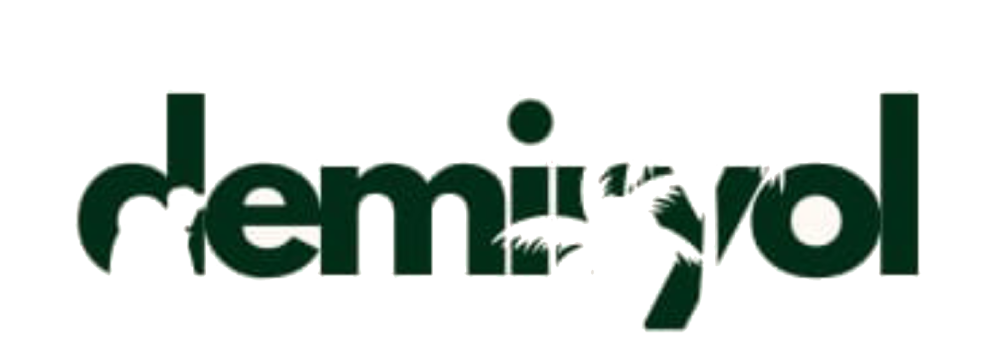 Demiryoltuizm